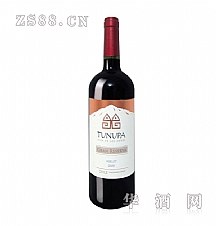 智利空加瓜谷 图奴巴・西拉干红葡萄酒 2010-芜湖伟达酒业有限公司